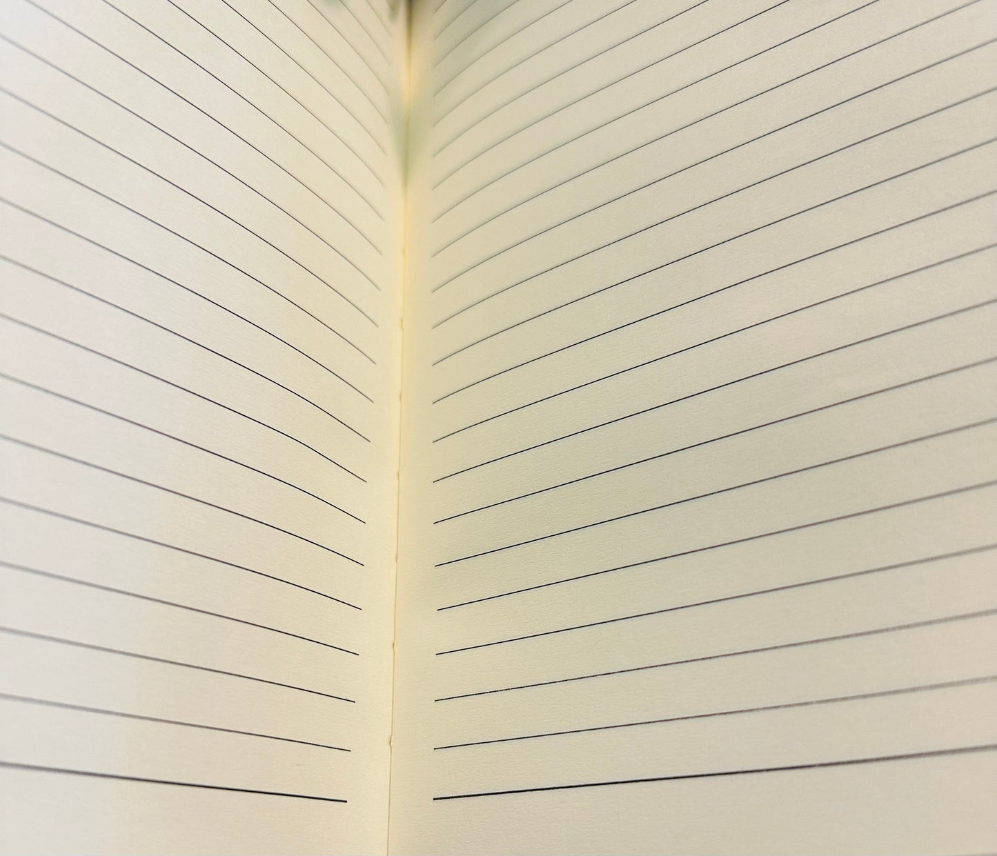 Journal